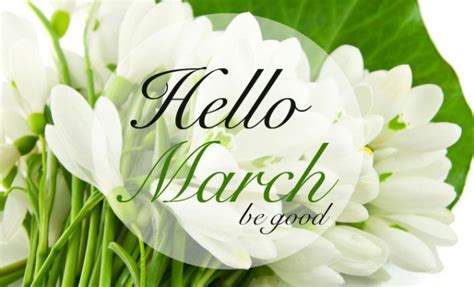 The time has come for you to finally know what the officer says. Goodbye February, Hello March! - Stephanie Daily