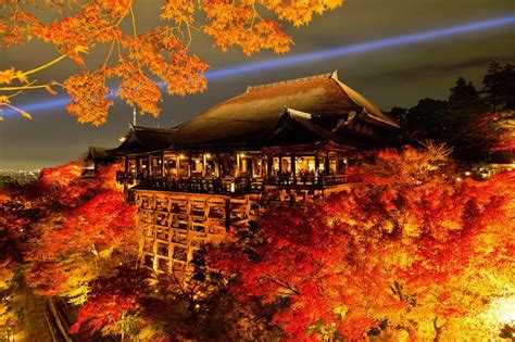 京都の紅葉が観れるオススメ人気場所3選！見頃の時期は11月中旬！ Travelers