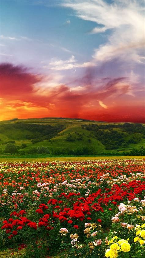 Maybe you would like to learn more about one of these? Colorful 4K Wallpaper - WallpaperSafari