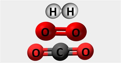 (biologia) denominação de uma comunidade ecológica de grandes dimensões; O que é molécula? - Toda Matéria