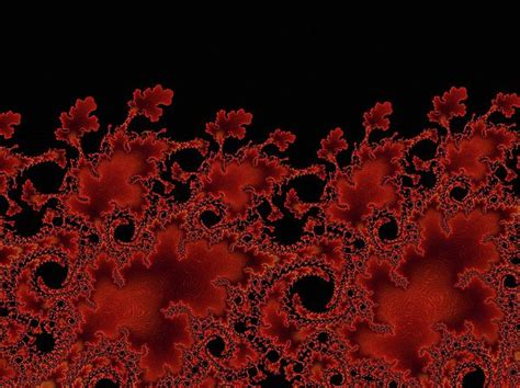 Minimal Abstract Red Poppies By Georgiana Romanovna Red Poppies