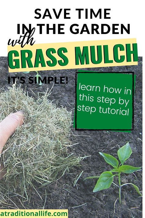 We did not find results for: Ideas for Garden Mulch in 2020 | Grass clippings, Garden ...