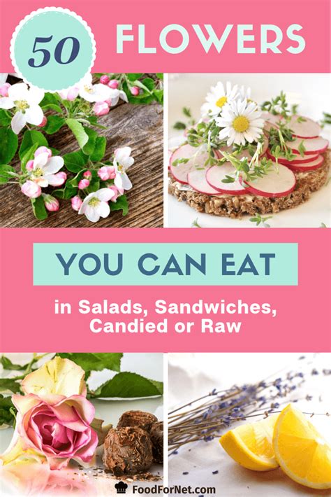 Young buds are tasty fried in butter. 50 Flowers You Can Eat in Salads, Sandwiches, Candied or ...