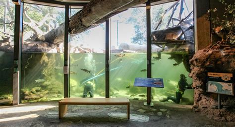 Turtle Bay Exploration Park