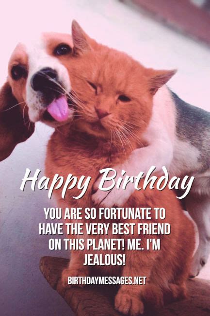 Happy birthday to my wild and crazy friend. Funny Birthday Wishes & Birthday Quotes: Funny Birthday Messages