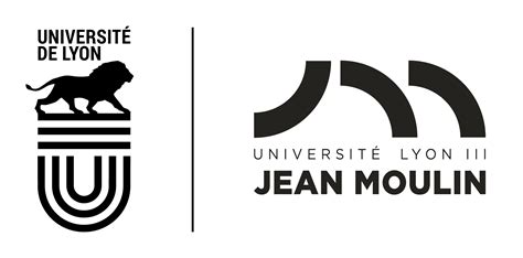 Université Jean Moulin Lyon S Certificate FUN MOOC