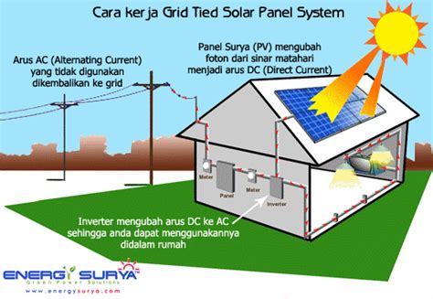 Bunga matahari adalah sebuah bunga yang memiliki ciri khusus yaitu setiap berbunga selalu mengikuti arah cahaya matahari. GEOGRAFI ; ENERGI ALTERNATIF