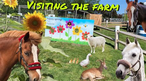Visiting The Farm Youtube