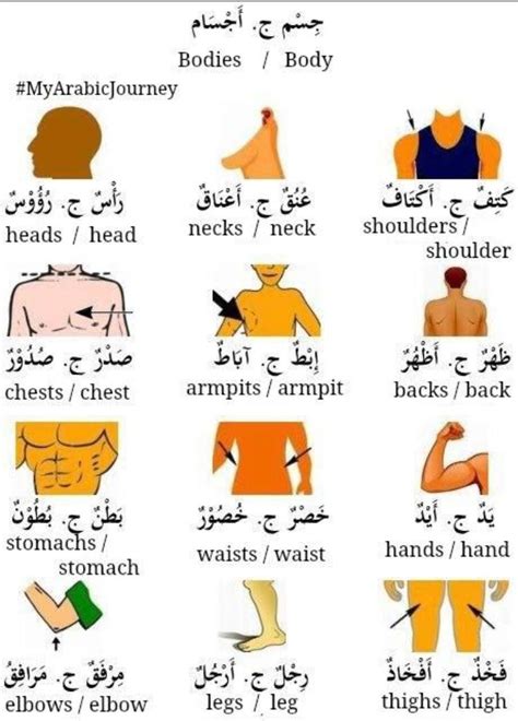 You could listen to 1 the arabic language like many other languages in the world has many different dialects. Pin by magaffar2424@gmail on Arabic plurals | Arabic ...