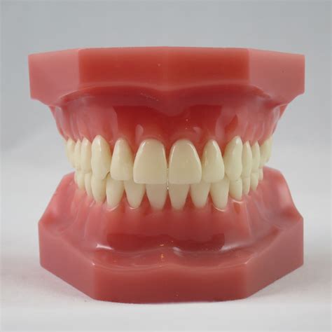 What Does An Ideal Bite Look Like Affordable Braces Jorgensen