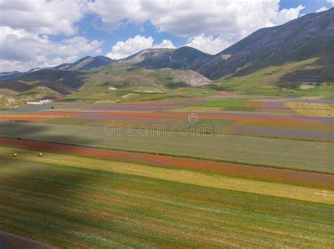 National Park Sibillini Mountains Blooms Of Castelluccio Di Norcia