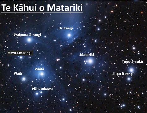 Matariki Overview Stars Of Matariki Teacher Made Hot Sex Picture