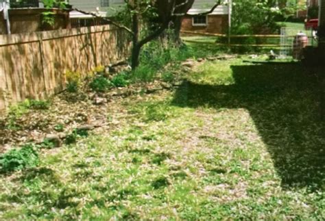 Homeowner shares before-and-after photos after turning their yard into