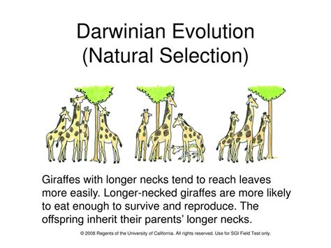 Ppt Natural Selection Powerpoint Presentation Free Download Id1291716