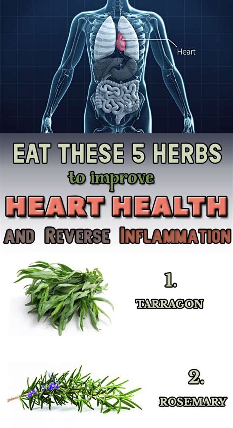 Eat These 5 Herbs To Improve Heart Health And Reverse Inflammation