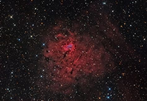 Ngc1491 Emission Nebula Astrodoc Astrophotography By Ron Brecher