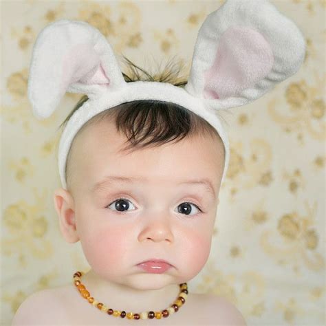 The Boy Bunny Baby Faces Cute Kids Baby Face
