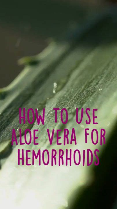 Pin On Hemorrhoid Remedies