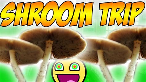 Tripping On Mushrooms Youtube