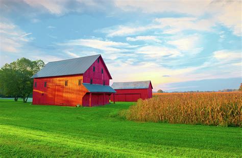 Barn Red Barn Corn Field Tipton County Indiana Pastel By William Reagan