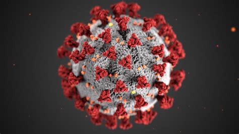 90 Minute Tests That Detect Covid 19 And Other Viruses To Be Rolled Out
