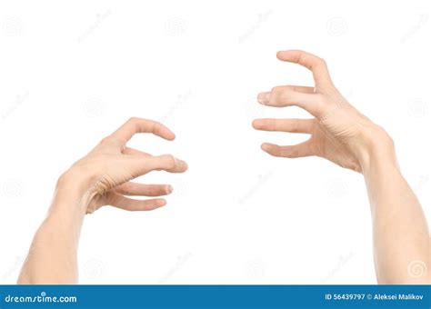 Gestures Topic Human Hand Gestures Showing First Person View Isolated