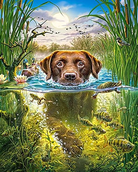 Dog Swim Animals Paint By Numbers Numeral Paint