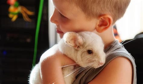 9 Best Pets For Your Kids Too Cute To Bear