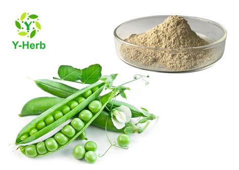 Pe Herbal Extract Pea Protein Peptide Powder Pisum Sativum Pea
