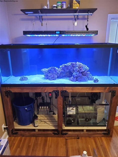 Check spelling or type a new query. 36 Surprising Cheap Aquarium Stand Ideas Solution | Cheap ...