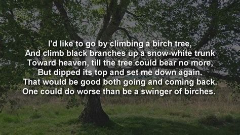 Climbing Birch Trees Frost American Poetry Robert Frost Poems