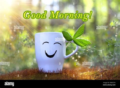 Good Morning Positive Cup With Smile On Sunny Green Background Of
