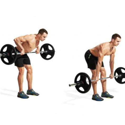 Barbell Bent Over Row Bodybuilding Workouts