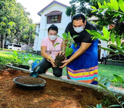 Home and garden sri lanka. Home Garden Challenge Taking Off In Sri Lanka - Leaf Blogazine