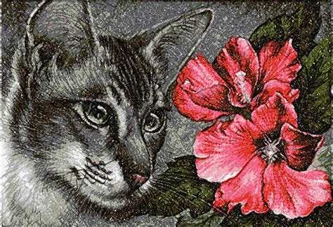 Cat With Hibiscus Photo Stitch Free Embroidery Design Free Embroidery