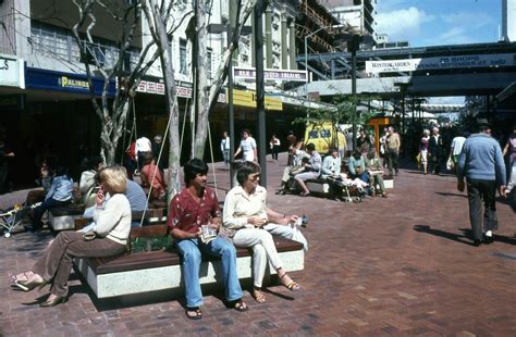 We did not find results for: Queen Street Mall, Bne Leopard trees for protection from ...