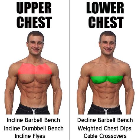 Chest Exercises Upper Chest Lower Chest Weighteasyloss Com