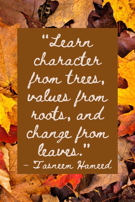 73 Lovely Leaf Quotes For Fall Darling Quote