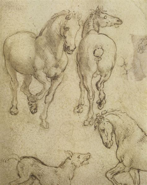 Three Horses And A Dog By Leonardo Da Vinci Horse Drawings Animal