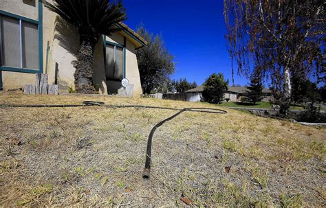 An overwatered lawn and an underwatered one are equally troubling and unhealthy. The 5 biggest misconceptions about watering your lawn and garden during a drought - LA Times