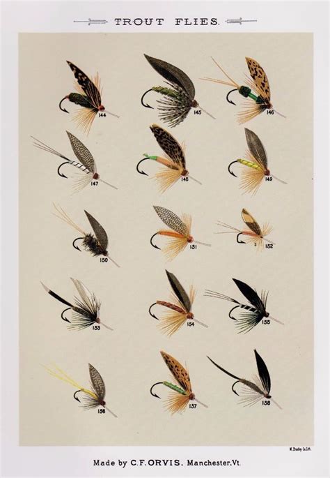 Vintage FLY FISHING Print TROUT FLIES Fishing Gallery Wall Art Cabin