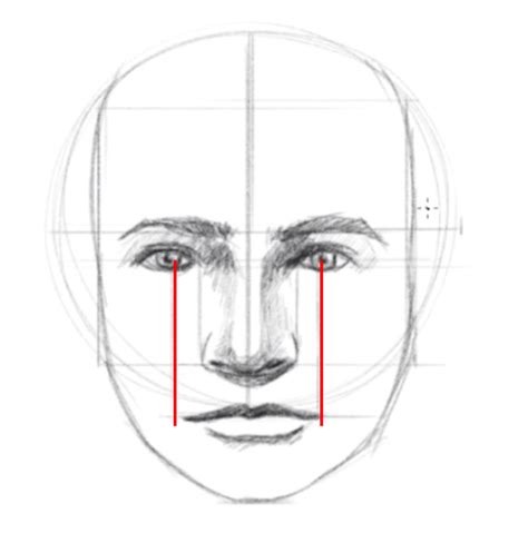 inspirating info about how to draw features feeloperation