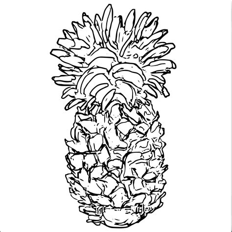 We currently have over 3,000 coloring. Pineapple Coloring Page WeColoringPage 19 | Wecoloringpage.com