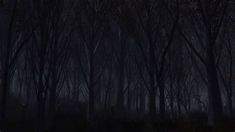 Free Download Download Wallpaper 3840x2160 Forest Trees Background Dark