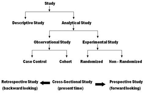 Basic Types Of Research Studies Download Scientific Diagram