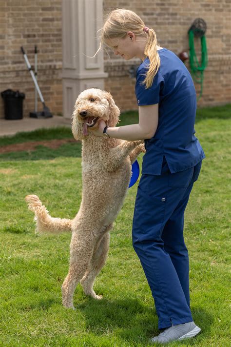 Our practice is growing and accepting new patients! Pet Boarding in Trophy Club, TX - Trophy Club Animal Hospital