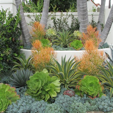 Pin By Tricia Williams On Succulent Landscaping Succulent Landscape
