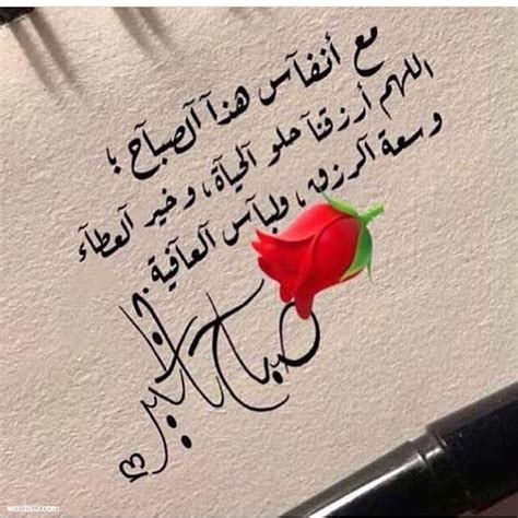 هل يمكنكم سرد صيغ دعاء الاستفتاح الصحيحة كلها التي وردت عن النبي عليه الصلاة والسلام ، مع ذكر الأدلة ، وذكر متى تقال ، وفي أي الصلوات تقال : رمزيات صباح الخير , اروع صور لصباح الخير مكتوبا عليها - المميز