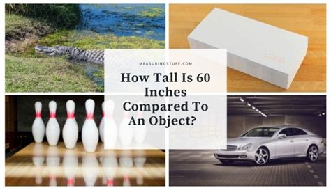 How Tall Is 60 Inches Compared To An Object Measuring Stuff