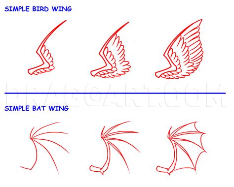 How To Draw Folded Bat Wings